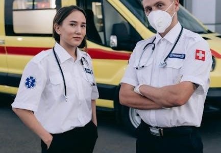 features of a standard ambulance pdf