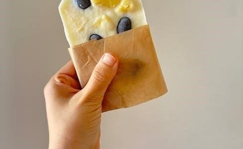 rival ice cream freezer instructions
