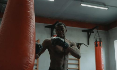 everlast punching bag stand instructions