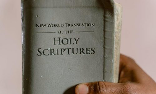 the bible recap study guide pdf