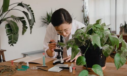 ap biology unit 2 study guide