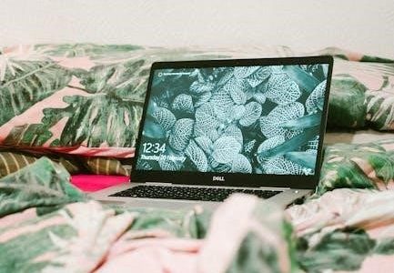 laser bed setup instructions